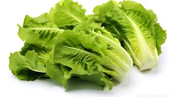 Photo of Escarole isolated on white background. generative ai