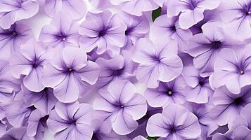 Petunia flower patterned background. Flower texture background. Generative AI photo