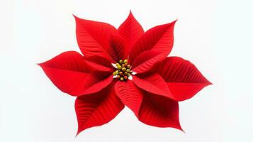 Photo of beautiful Poinsettia flower isolated on white background. Generative AI