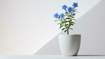 Photo of Jacobs Ladder flower in pot isolated on white background. Generative AI