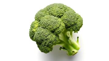 Photo of Broccoli isolated on white background. generative ai