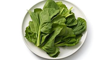 Photo of Collard greens on plate isolated on white background.
