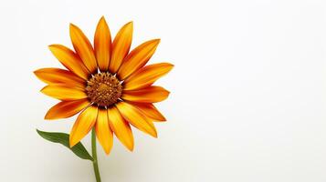 Photo of beautiful Gazania flower isolated on white background. Generative AI