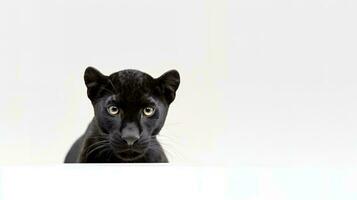 Photo of a panther on white background. generative ai