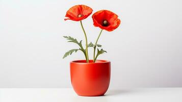 Photo of Poppy flower in pot isolated on white background. Generative AI