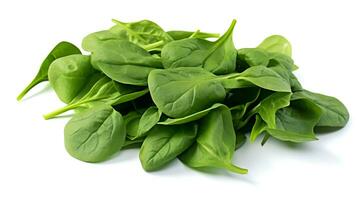 Photo of Spinach isolated on white background. generative ai