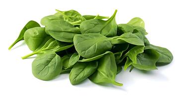 Photo of Spinach isolated on white background.