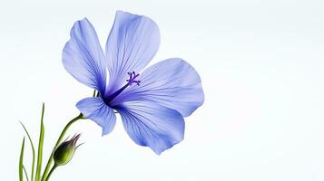 Photo of beautiful Flax flower isolated on white background. Generative AI