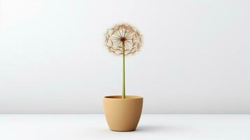 Photo of Dandelion flower in pot isolated on white background. Generative AI