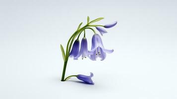 Photo of beautiful Bluebell flower isolated on white background. Generative AI