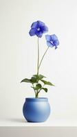 Photo of Balloon flower in pot isolated on white background. Generative AI