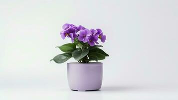 Photo of Violet flower in pot isolated on white background. Generative AI