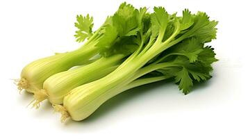 Photo of Celery isolated on white background. generative ai