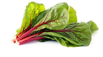 Photo of Swiss chard on plate isolated on white background. generative ai