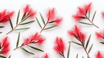 Bottlebrush flower pattern background. Flower background texture. Generative AI photo