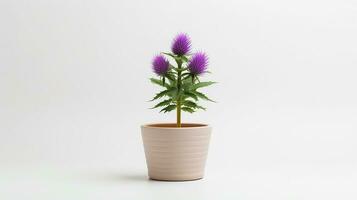 Photo of Thistle flower in pot isolated on white background. Generative AI