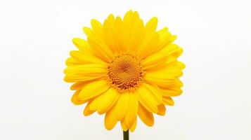 Photo of beautiful Dandelion flower isolated on white background. Generative AI