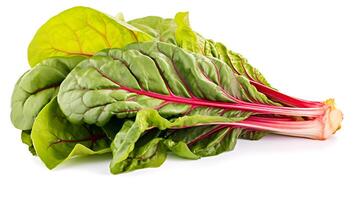 Photo of Swiss chard on plate isolated on white background.