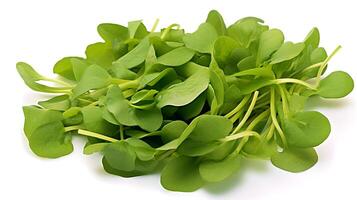 Photo of Watercress isolated on white background. generative ai