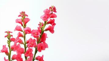 Photo of beautiful Snapdragon flower isolated on white background. Generative AI