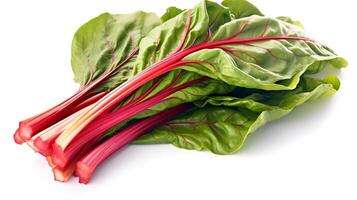 Photo of Swiss chard on plate isolated on white background.