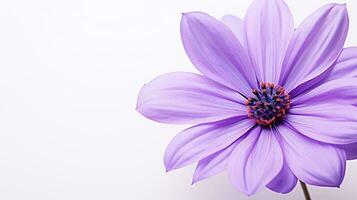 Photo of beautiful Violet flower isolated on white background. Generative AI