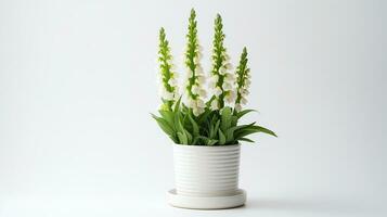 Photo of Digitalis flower in pot isolated on white background. Generative AI