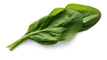Photo of Spinach isolated on white background.
