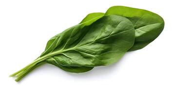 Photo of Spinach isolated on white background. generative ai