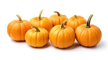 Photo of Pumpkins isolated on white background.