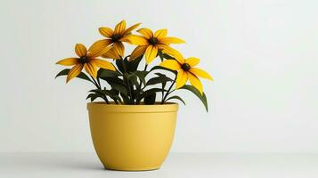 Photo of Rudbeckia flower in pot isolated on white background. Generative AI