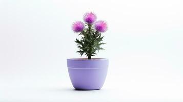 Photo of Thistle flower in pot isolated on white background. Generative AI