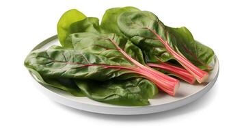 Photo of Swiss chard on plate isolated on white background.