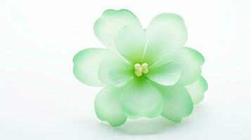 Photo of beautiful Chrysopsis flower isolated on white background. Generative AI