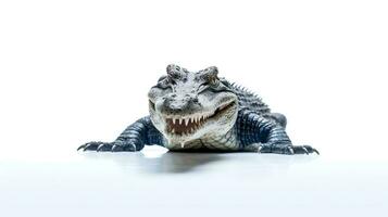 Photo of a crocodille on white background. Generative AI