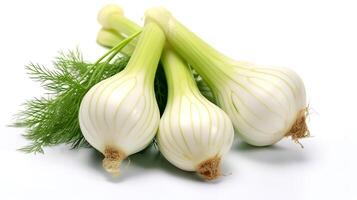 Photo of Fennel isolated on white background.