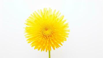 Photo of beautiful Dandelion flower isolated on white background. Generative AI