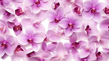 Orchid flower patterned background. Flower texture background. Generative AI photo