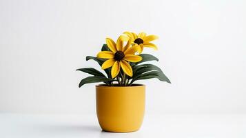 Photo of Black-Eyed Susan flower in pot isolated on white background. Generative AI