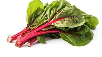 Photo of Swiss chard on plate isolated on white background.