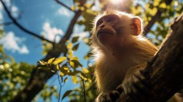 Photo of Monkey in ther forest with blue sky. Generative AI