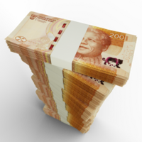 3D rendering of stacks of South African Rand notes arranged in a long single column. 3d rendering of bundles of cash png