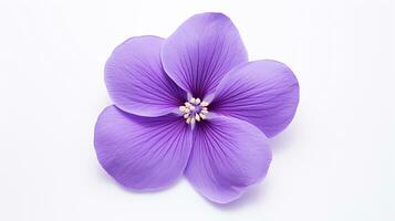 Photo of beautiful Violet flower isolated on white background. Generative AI