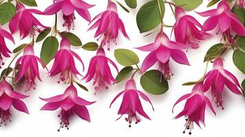 Fuchsia flower patterned background. Flower texture background. Generative AI photo