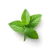 Photo of Mint leaf isolated on white background. generative ai