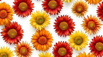 Gaillardia flower patterned background. Flower texture background. Generative AI photo