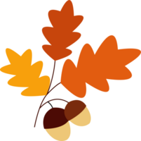 leaves and acorns png