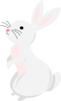 white rabbit with a bow png