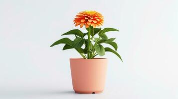 Photo of Zinnia flower in minimalist pot isolated on white background