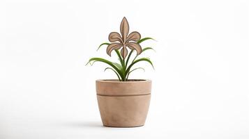 Photo of Fleur-de-lis flower in pot isolated on white background. Generative AI